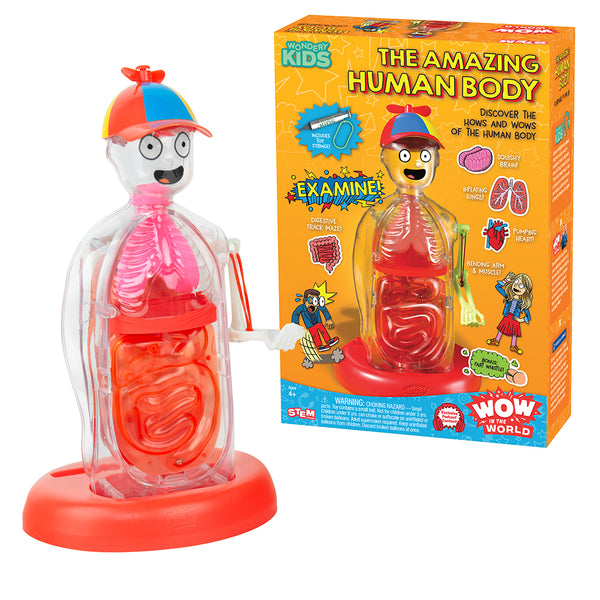 Wow in the World: The Amazing Human Body – Thames & Kosmos