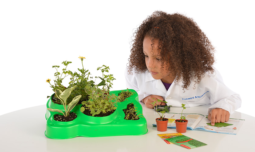 botany experimental greenhouse science kit