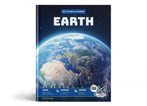 Smart Fox: Earth