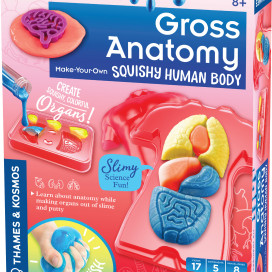 550032_Gross_Anatomy_3DBox.jpg