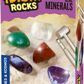 630447_Minerals_Excavation_3dbox.jpg