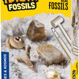 630461_Fossils-Excavation_3dbox.jpg