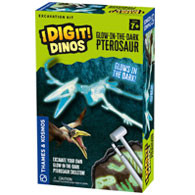 Glow in the Dark Pterosaur Product Image Downloads 