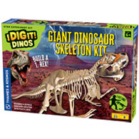 Giant Dino Skeleton Product Image Downloads 